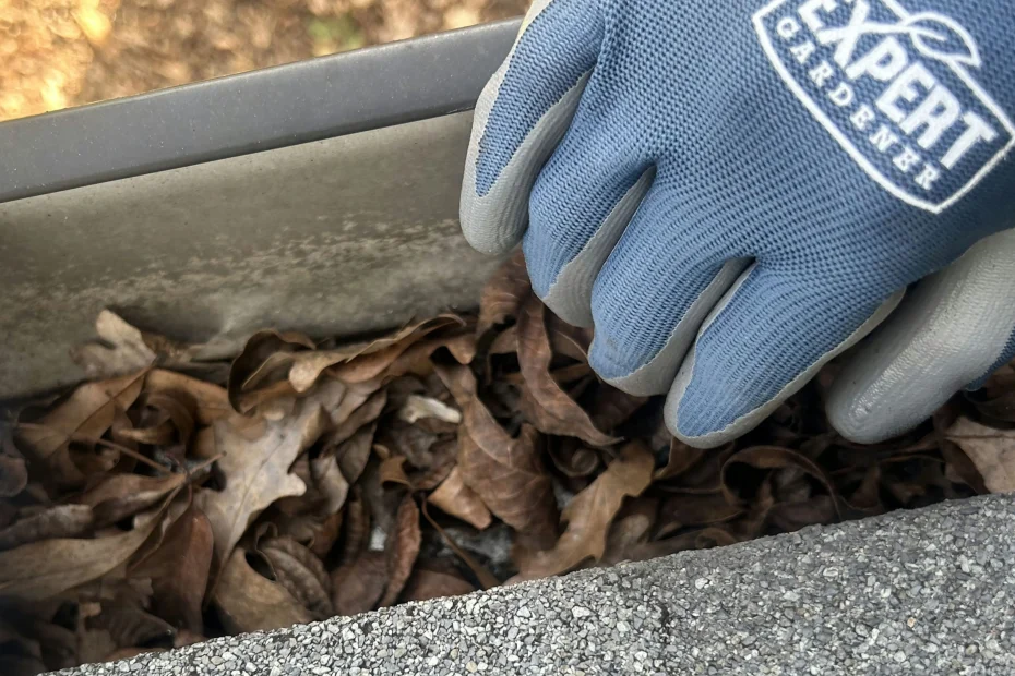 Gutter Cleaning Bridgeview