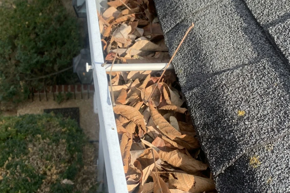 Gutter Cleaning Bridgeview