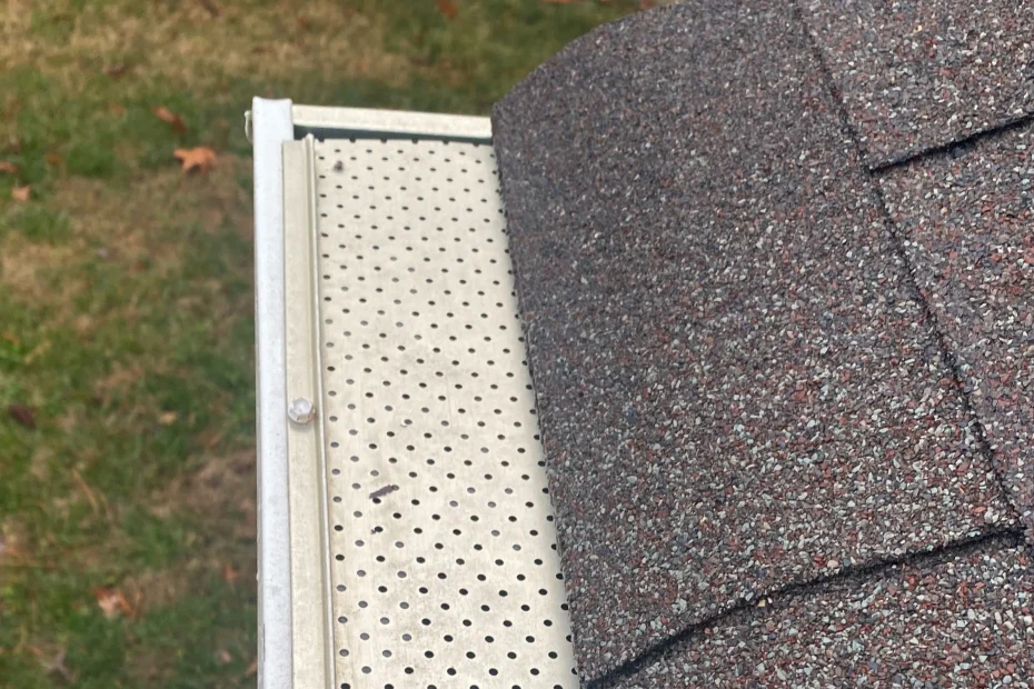 Gutter Cleaning Bridgeview