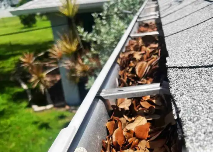 Gutter Cleaning Bridgeview home page